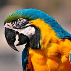 jackie_wils's profile picture. 😀