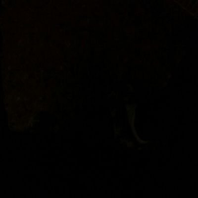 XPerfectFrench's profile picture. 42 【Frenchman】Dites-moi d'où il vient enfin je serais où je vais maman dis que lorsqu'on cherche bien, on finit toujours par trouver.