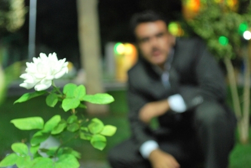 musiyo's profile picture. 