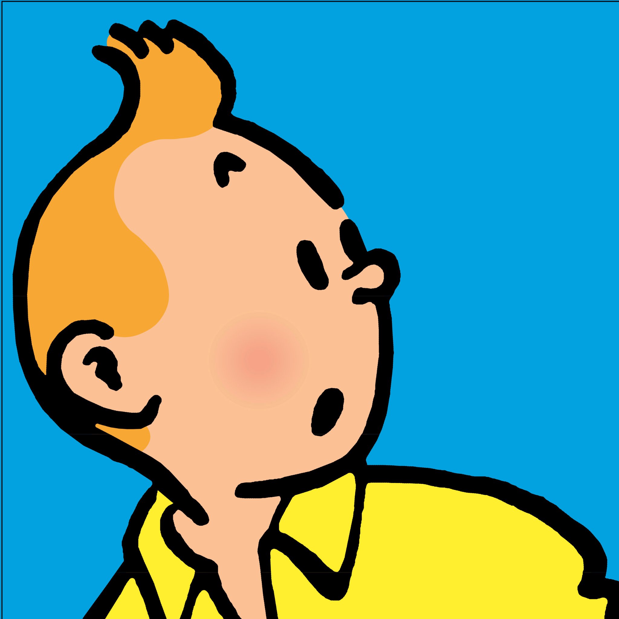 Мальчик тин тин. Тинтин. Tintin лицо.