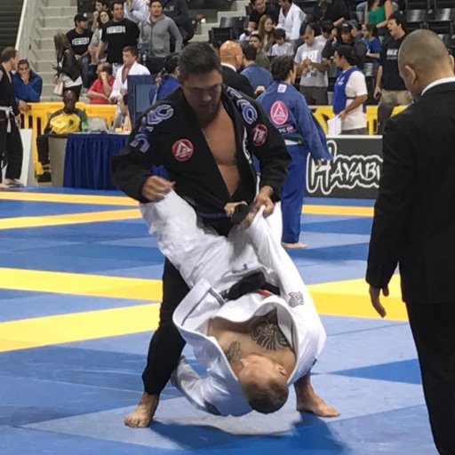 I'm a grumpy old man from Hawaii who is also a dedicated father and husband, Gracie Barra Black Belt, Masters World Champ, and motorcyclist. I think thats it..