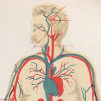 Jonathan Schultz (@jdgschultz) 's Twitter Profile