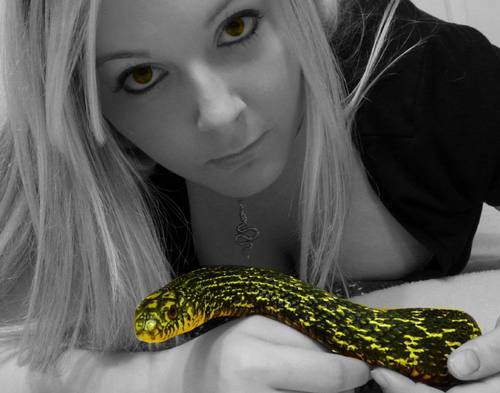 Reptiliangirl's profile picture. Hey guys welcome to my twitter page, I help people with their reptiles :)