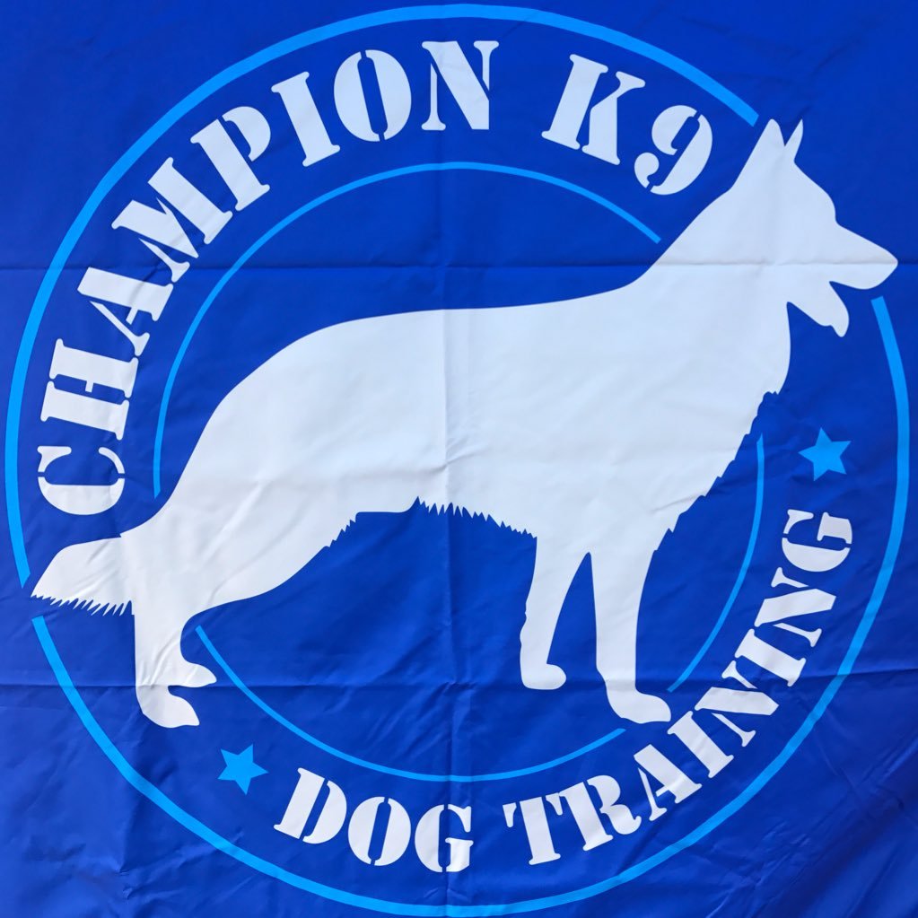 k9champion1 Profile Picture