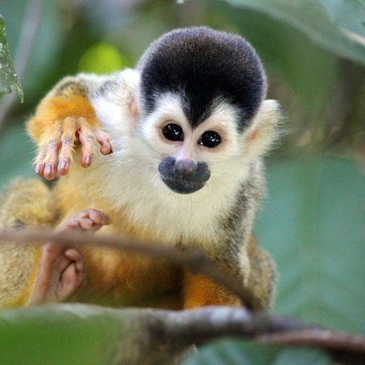 asarminatura91's profile picture. Director Creativo de @GrupoPanoramix @NatumExperience |  Arquitectura, UCreativa | Deja que el Mundo te sorprenda | 🌎