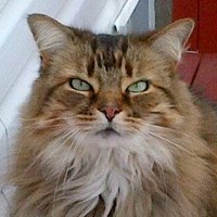 Something Something ๐ ๐จ๐ฆ (@pat_mag) 's Twitter Profile Photo Something Something ๐ ๐จ๐ฆ (@pat_mag) 's Twitter Profile Photo