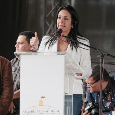 Madre, abogada UCAT y diputada del #Táchira en la Asamblea Nacional. Lucho por la recuperación de la democracia y la reconstrucción de Venezuela 🇻🇪