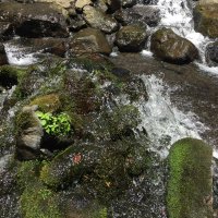 Tak (@pomephet) 's Twitter Profile