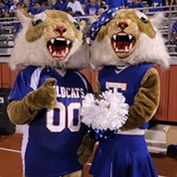 TempleWildcatCheer(@THSWildcatCheer) 's Twitter Profileg