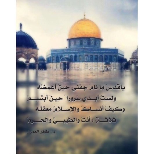 أمي عائشه وسيدي عُمر الفاروق متفأئله رغم الألم لـ أمتي💔  اللهم اخذل من تخاذل لـ نصر اهل السنه ..