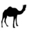discobasso's profile image