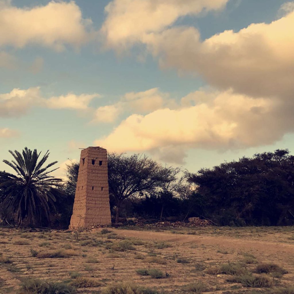 909Naq's profile picture. 