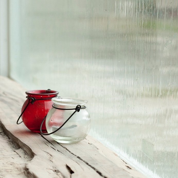 ywztt's profile picture. 向往自由的鱼