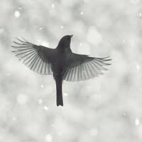 FREESPIRIT (@narayanspai) 's Twitter Profile Photo FREESPIRIT (@narayanspai) 's Twitter Profile Photo