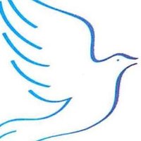 The Vyne PE Dept (@thevynepe) 's Twitter Profile