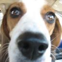 Marcy Beck - @mfisk196 - Twitter