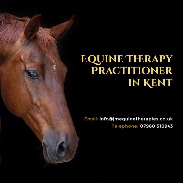 Qualified Equine Emmett Practitioner. Also specialising in Equine Reiki and Equine sports massage