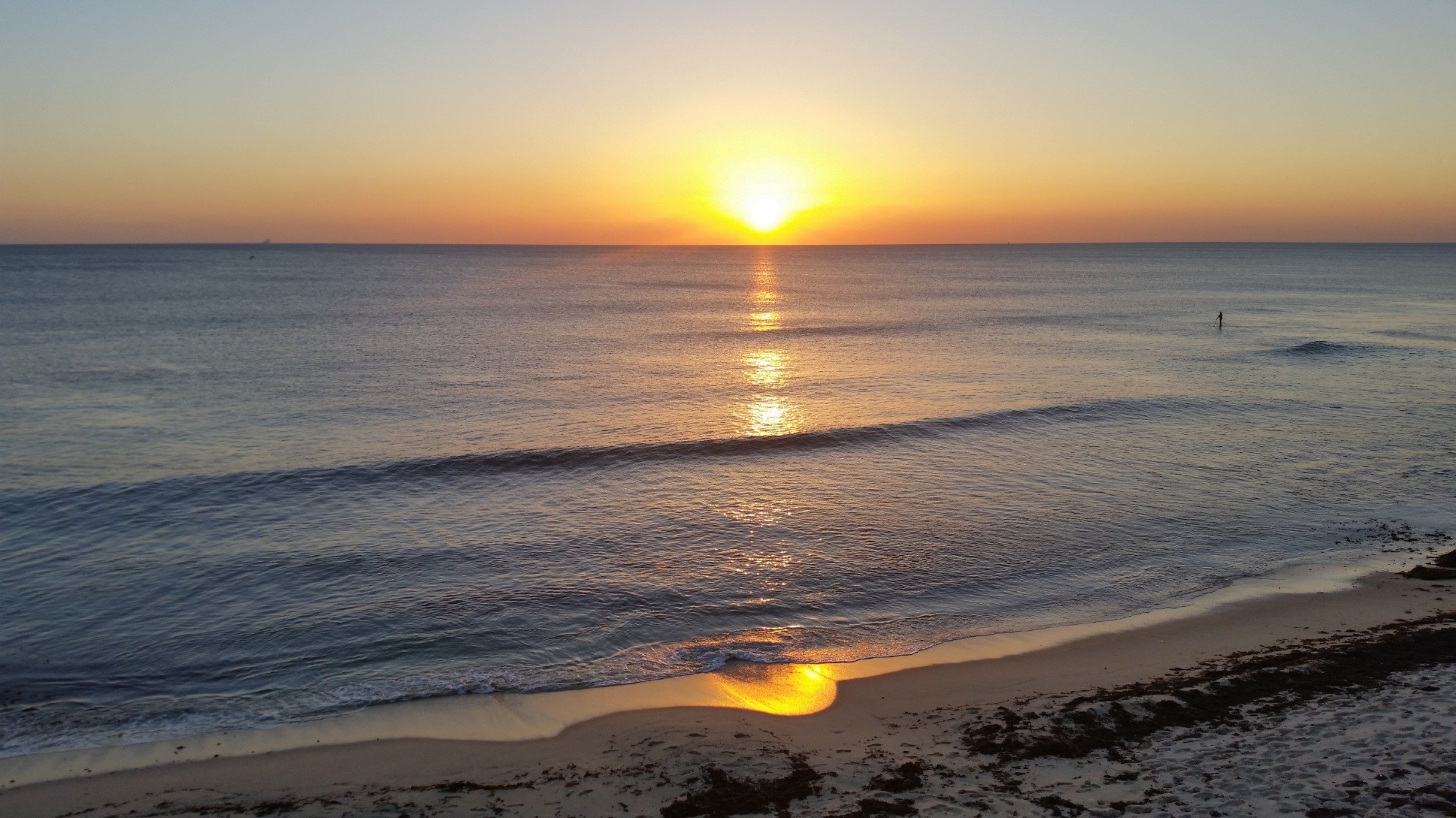 mickbrolly's profile picture. Derby County. Perth, Western Australia