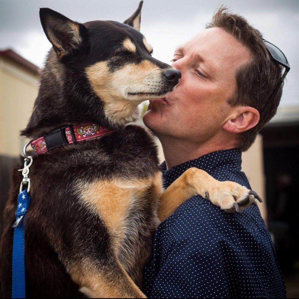 Work @Racing “That there dog,' said Macquarie to the hospital staff in general, 'is a better dog than I'm a man - or you too, it seems - & a better Christian.”