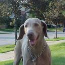 Kurt Porter - @cavswillwinit - Twitter