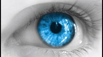 VanderHornGenA's profile picture. #gedragsdeskundige #gehandicaptenzorg  #cliëntenmeteencomplexezorgvraag #vakgek Als je ze niet begrijpt, dan heb je niet goed genoeg je best gedaan!