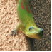 yumiii (@gogobigisland) Twitter profile photo yumiii (@gogobigisland) Twitter profile photo