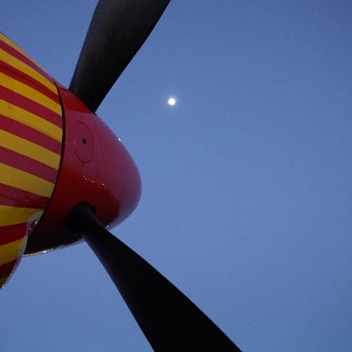 nikcoleman's profile picture. Film maker.