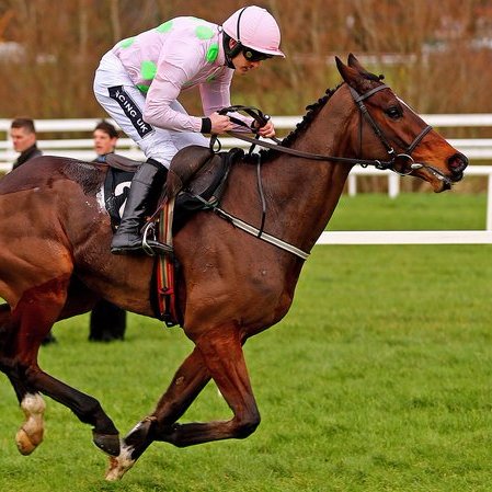 racing_gambler's profile picture. I am a betting experts. I will help you about horse racing.