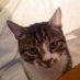 Maureen Hackett (@maureenhackett4) Twitter profile photo Maureen Hackett (@maureenhackett4) Twitter profile photo