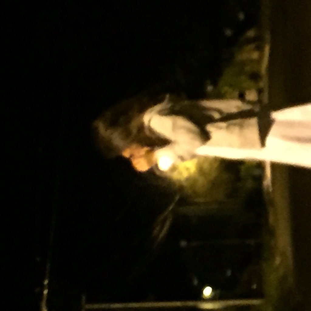 julianemargreth's profile picture. 