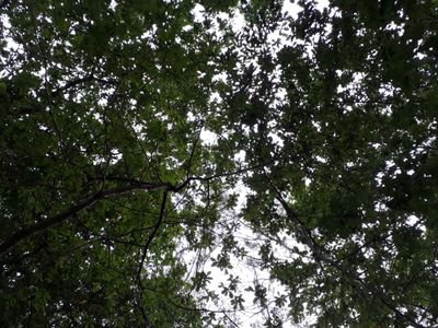 Fadetoblack1979's profile picture. Fútbol Cine Deportes Política y Gobierno