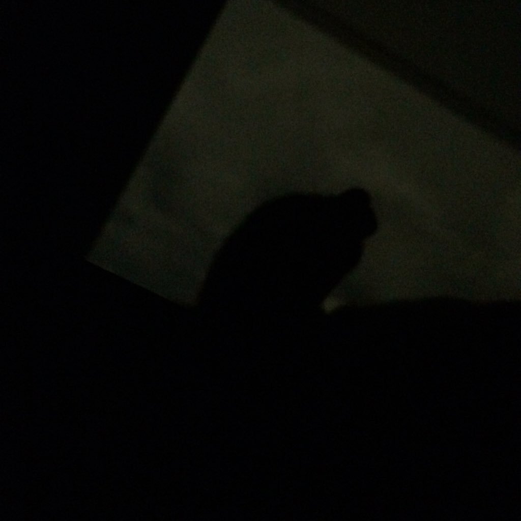 moonIightbib's profile picture. 