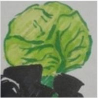 Cabbage(キャベツ) (@891cabbage) 's Twitter Profile