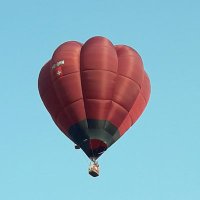 Robert Bachmann (@robertb174) 's Twitter Profile