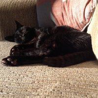 Wigglewoggle ๐๐ค๐๐ฆ๐ฆ (@wigglewoggle) 's Twitter Profile