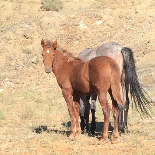 HattrickOV's profile picture. 