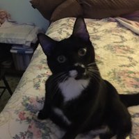 miss eddie (@sea5) 's Twitter Profile Photo