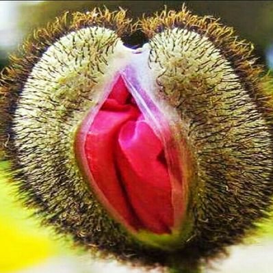 Creampie Lover35 Creampielover35 Twitter