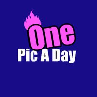 One Pic A Day (@khaiminhlamdong) 's Twitter Profile