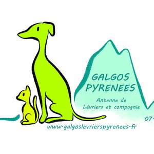 Bienvenue chez Galgos Pyrénées Twitter de l'antenne Sud-Ouest et Midi Pyrénées de l'association