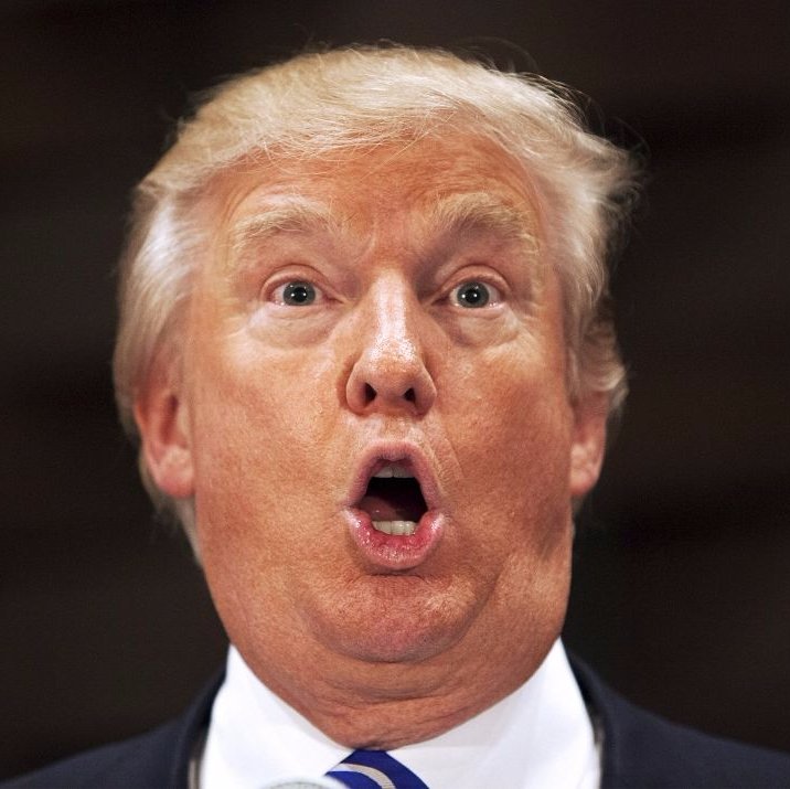 Unregistered sex offender. Six bankruptcies. Likes small gloves & my daughter. Suffering from dementia. Elected POTUS by Vladimir Putin. Probably golfing.