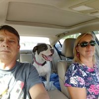 Paula Compton (@pcompton0007) 's Twitter Profile