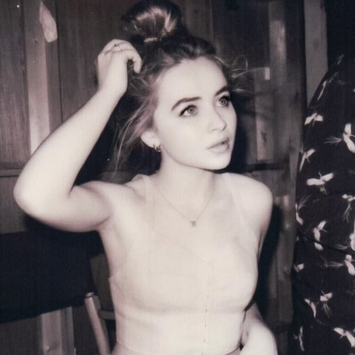 🌹sᴀ·ʙʀɪ·ɴᴀ— ( #ɑnnlynncɑrpenter ; singer, songwriter ɑnd ɑctress · @saintclairrp