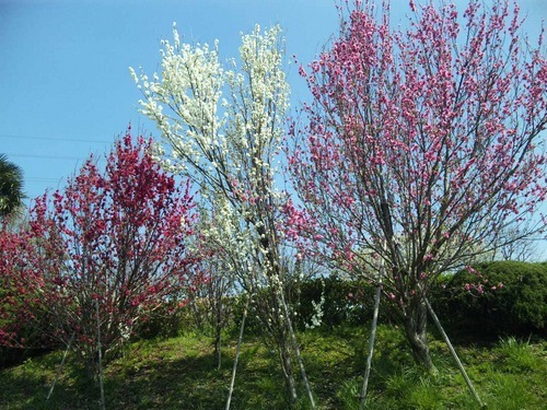 tori3nt's profile picture. ●川原和久さん大谷亮介さん山中崇史さん六角精児さん山西惇さん神保悟志さん他相棒キャスト松本紀保さん篠井英介さん速水奨さん関俊彦さん及川光博さん大滝詠一さんスタレビ BBCのsherlock etcのファン。失礼なことがあるかもしれませんが…よろしくお願いします。日常の中でも深いこと考えるのが好き。そして観劇が大好き。