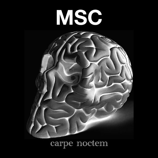 Rules of MSC:  1) Get more data 2) Get more data 3) Scan at midnight 4) Don't move 5) Don't fall asleep 6) Share the data. Est. 2013 #neuroscience