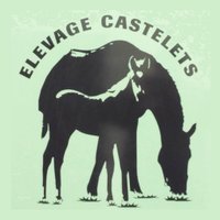 Elevage Castelets (@lescastelets) 's Twitter Profile