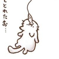 釣り猫 (@s_fishcat) Twitter profile photo