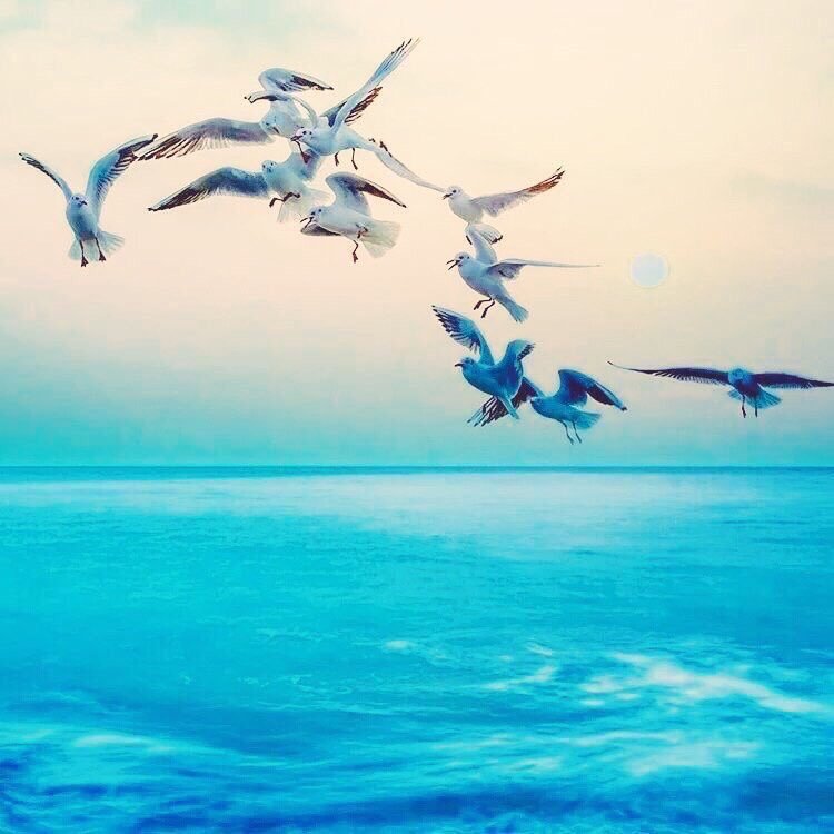 demaalshaar's profile picture. كلية العلوم الفيزيائية والكيميائية و دبلوم دراسات عليا تحليل