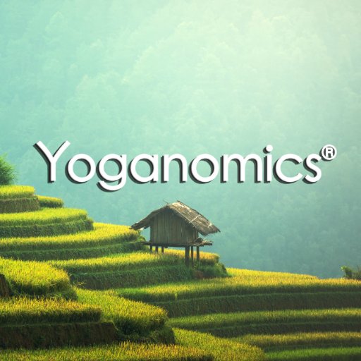 Yoganomics® combines effective & mindful integration of data with websites to reshape business with an enhanced perspective, clear insight, and detailed focus.