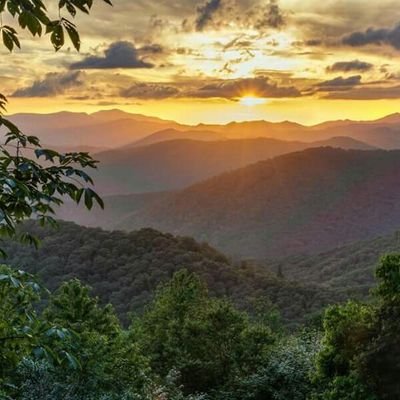 PosbrosisLarry's profile picture. Love the American life.
Lover of Godly principles.conservative fighting to save the founding https://t.co/BfO2E0nDYt by mayflower compact,and constitution